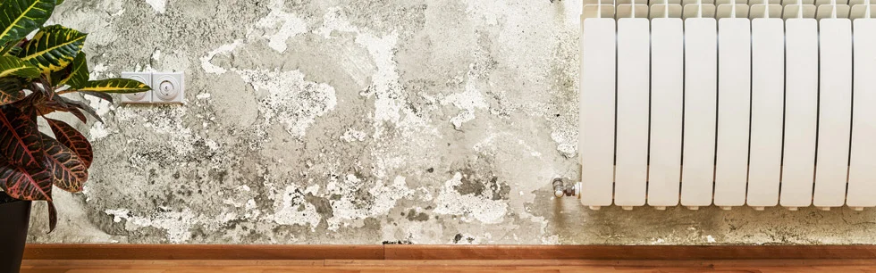 common causes of damage to drywall