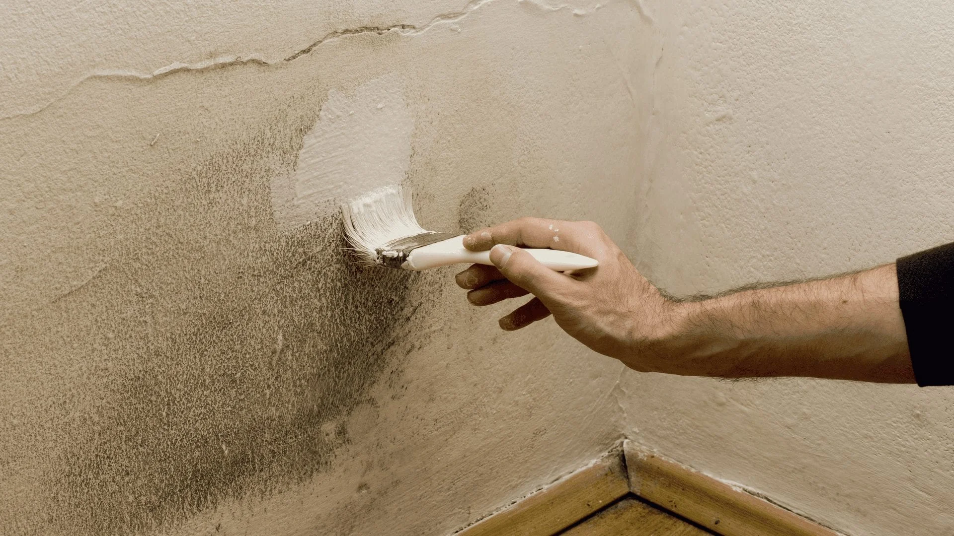 should you paint over mold